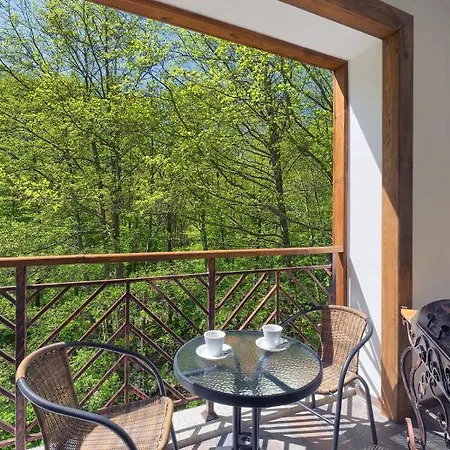 Hotel Apostolite